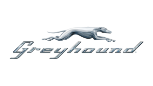 Download the free Greyhound app today!