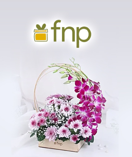 FNP