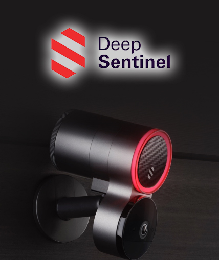 Deep Sentinel