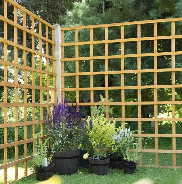buy timber | Thorcoupons