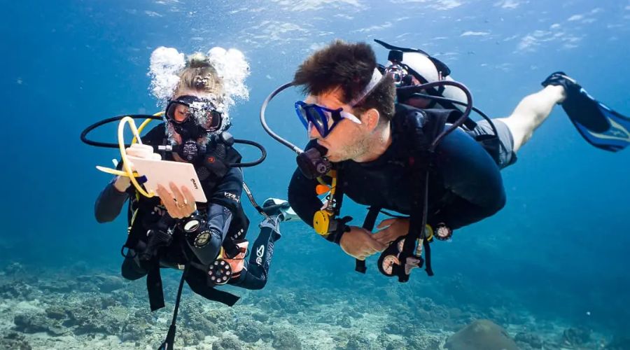 specialty scuba courses