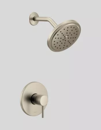 showerhead buying guide | Thorcoupons