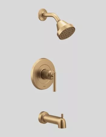 showerhead buying guide | Thorcoupons