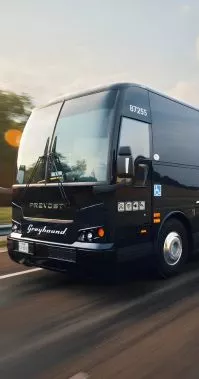 college student bus travel | Thorcoupons