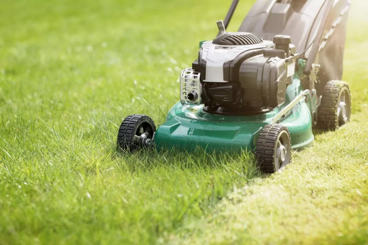 residential lawn mowers | Thorcoupons