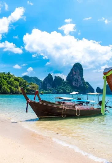 24edd36a4a3a2268675a2df5df6452bc