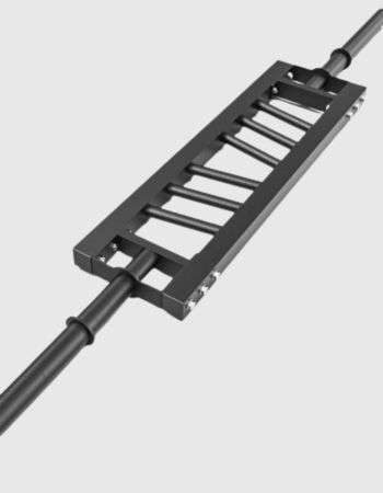 _(345 x 425 px) (680 x 515 px) (550 x 550 px) (65)