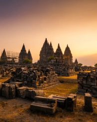 Untitled (450 x 400 px) (24)