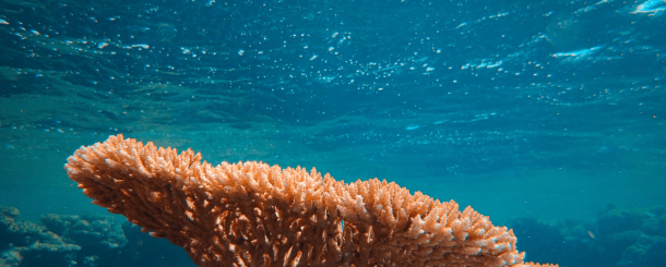 Your paragraph text (1)