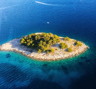 Your paragraph text (2)