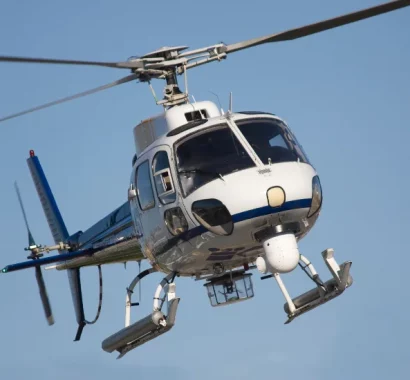 Your paragraph text (3)