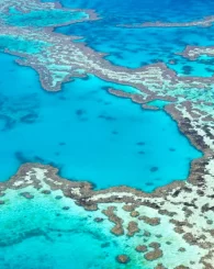 Your paragraph text (4)