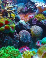 Your paragraph text (6)