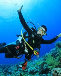 Your paragraph text (7)