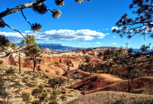 caption - 2025-09-17T154020.304