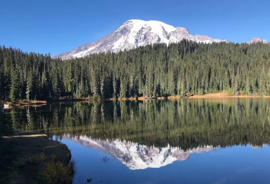 caption - 2025-09-17T165254.042