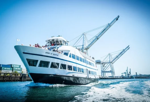 caption - 2025-09-17T165311.621