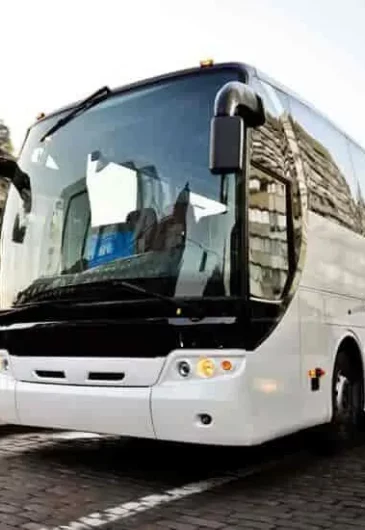 default-bus-services-99