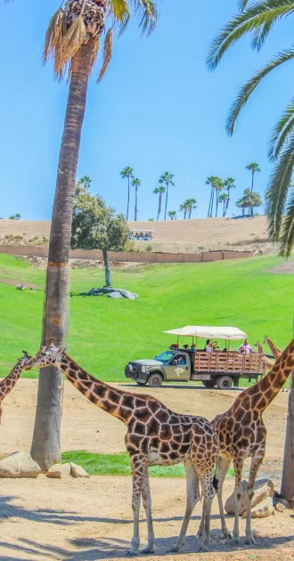 san-diego-families-safari-park_7